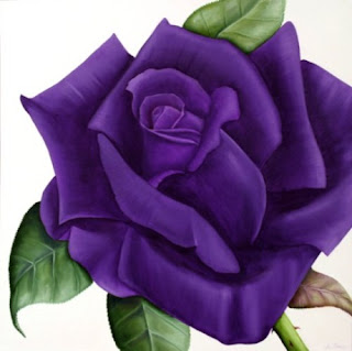 Afbeeldingsresultaat voor een paarse roos