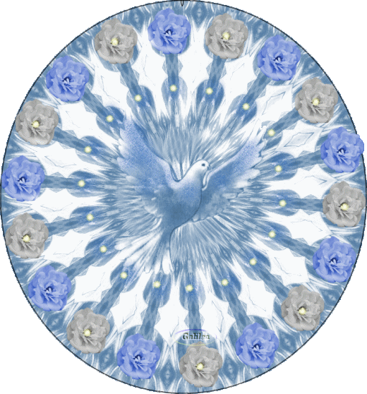 Visualizza immagine di origine