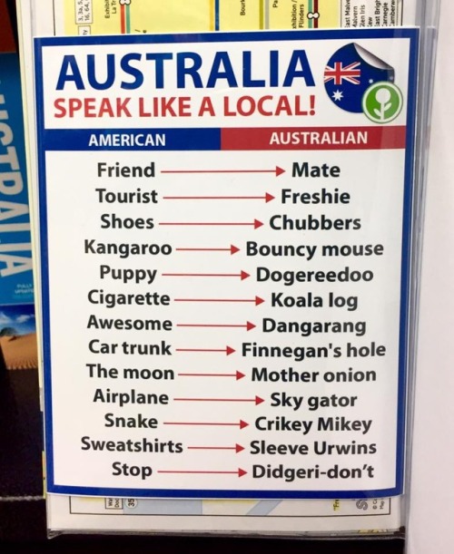 obviousplant:“ Speak like an Aussie. Left in an Australia travel book.More stuff like this on Facebook | Instagram”