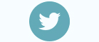 twitter logo boroughbred template 2