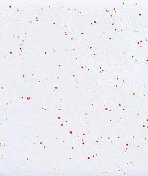 Fun,Entertainment,Wallpapers, Videos, Jokes & mOre Only @ MumbaiRock Click Here if You cant see Images