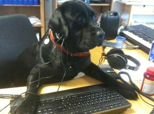 Fun,Entertainment,Wallpapers, Videos, Jokes & mOre Only @ MumbaiRock Click Here if You cant see Images