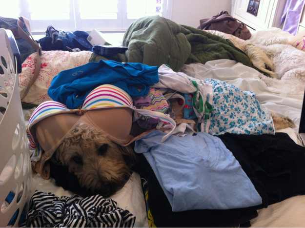 Fun,Entertainment,Wallpapers, Videos, Jokes & mOre Only @ MumbaiRock Click Here if You cant see Images