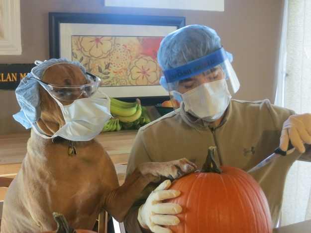 Fun,Entertainment,Wallpapers, Videos, Jokes & mOre Only @ MumbaiRock Click Here if You cant see Images