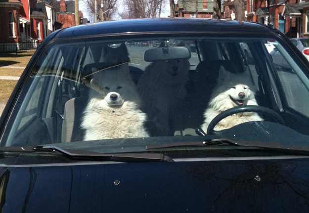 Fun,Entertainment,Wallpapers, Videos, Jokes & mOre Only @ MumbaiRock Click Here if You cant see Images