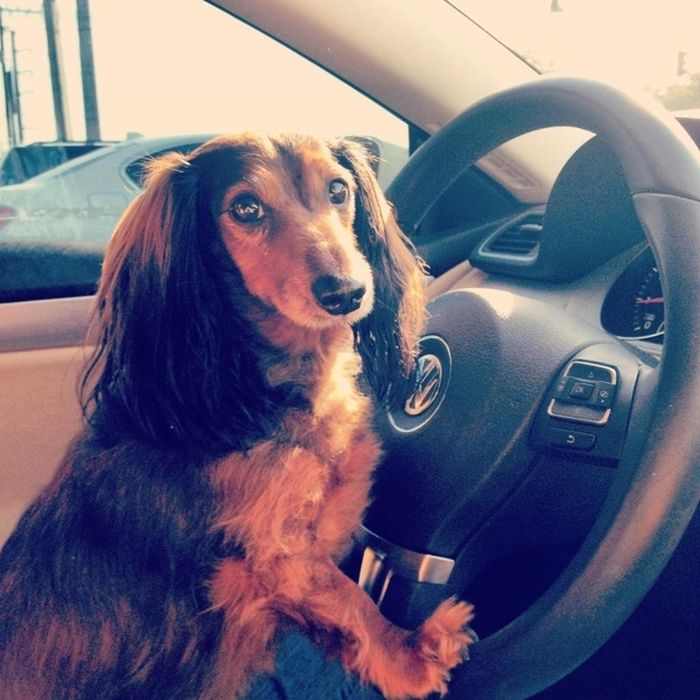 Fun,Entertainment,Wallpapers, Videos, Jokes & mOre Only @ MumbaiRock Click Here if You cant see Images