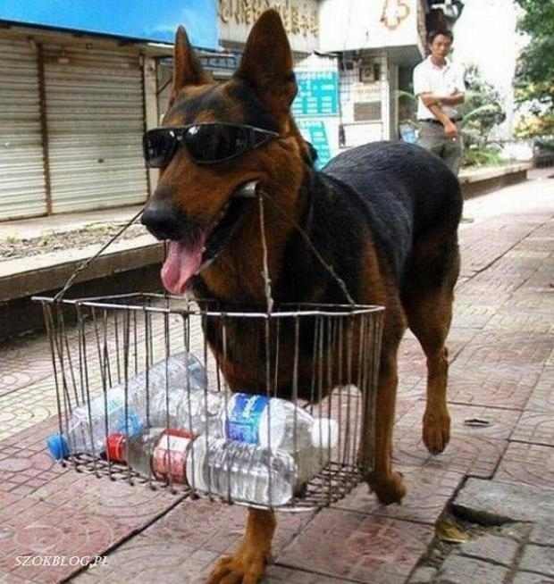 Fun,Entertainment,Wallpapers, Videos, Jokes & mOre Only @ MumbaiRock Click Here if You cant see Images