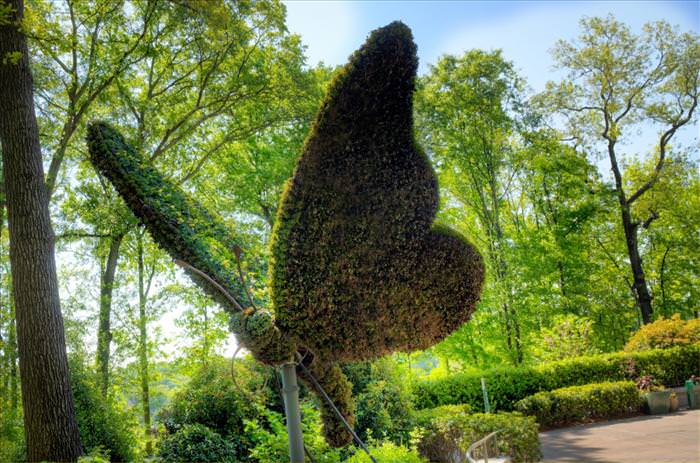 Grass sculpture competition