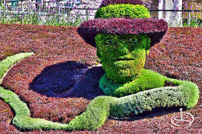 Grass sculpture competition