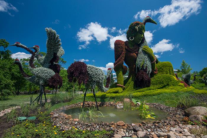 Grass sculpture competition