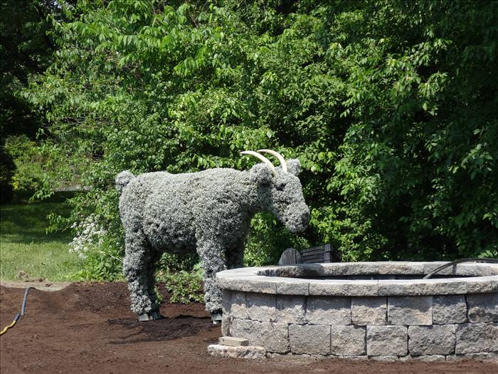 Grass sculpture competition