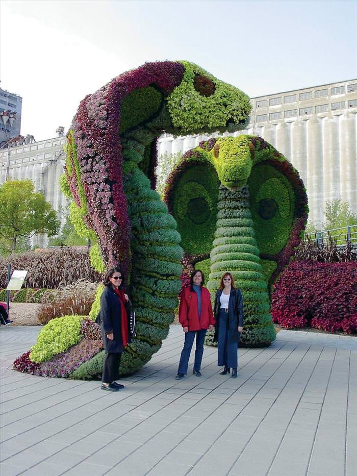 Grass sculpture competition