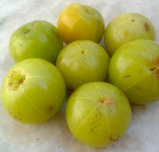 gooseberries