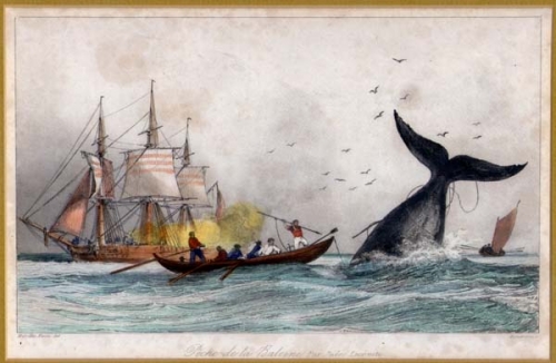 walvisjacht.jpg
