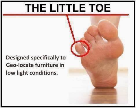 Image result for the little toe