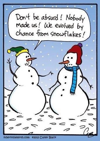 Image result for don't be absurd we evolved from snowflakes