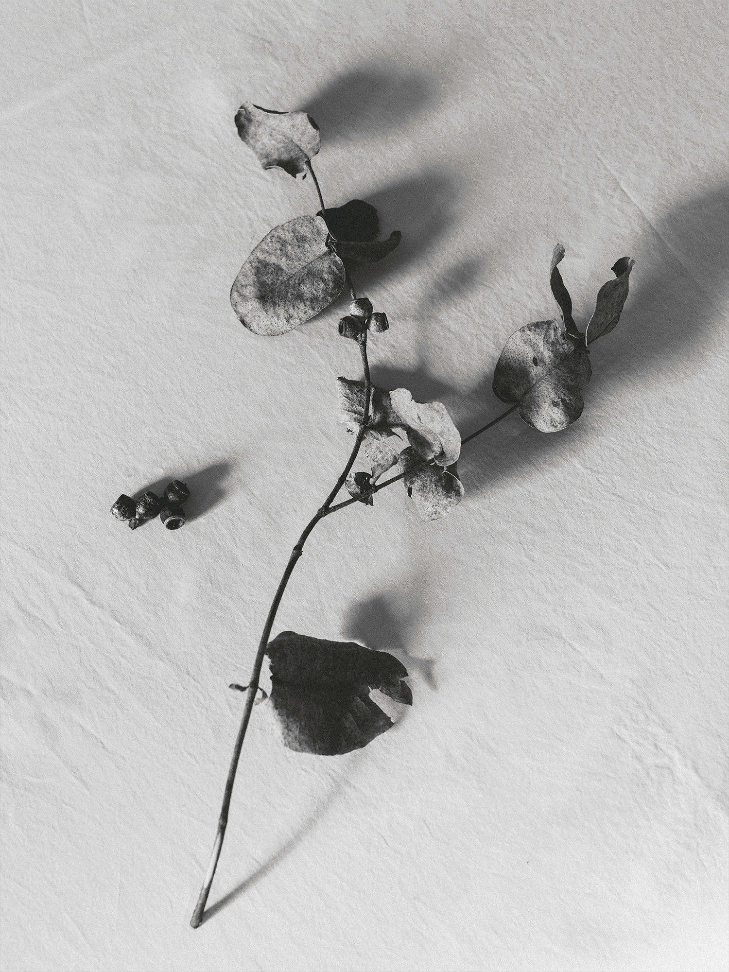 Poetry Boomers Daily Poetry Boomers Daily