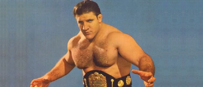 Image result for bruno sammartino young