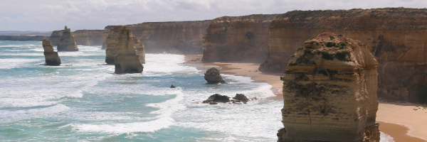 Positive Environment News