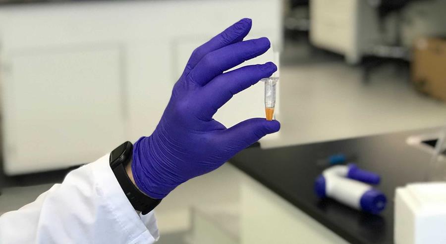 A sample of the growth factor Future Fields is developing for the burgeoning lab-grown meat industry. (Photo: Future Fields)