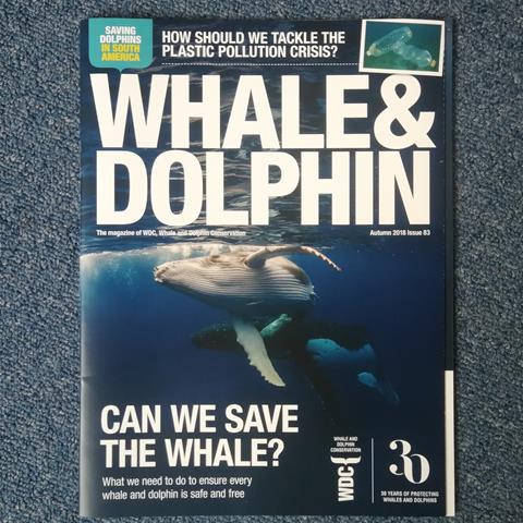 Whale & Dolphin magazine