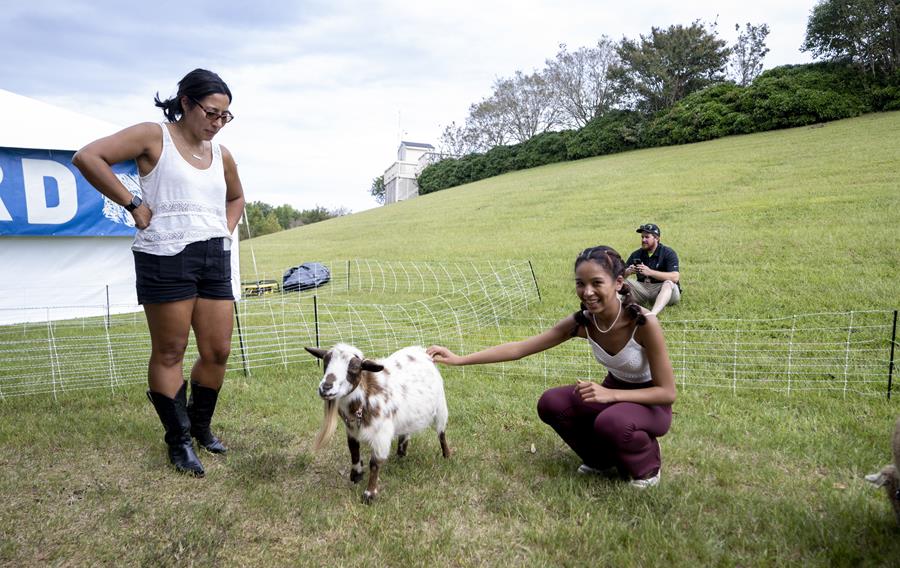 Young woman petting a goat