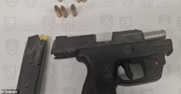 Image of gun and bullets from the investigation.
