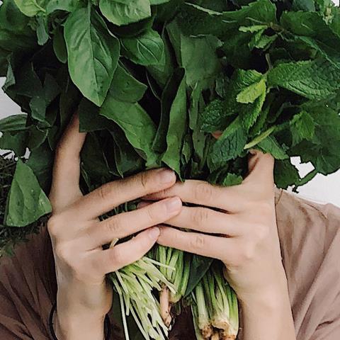 Everyday enviro with Elise: strategies for scrapping food waste