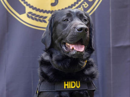 Image of K-9 officer in Mexico