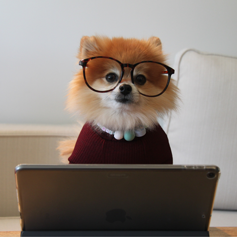 Six things you didn't know you could recycle