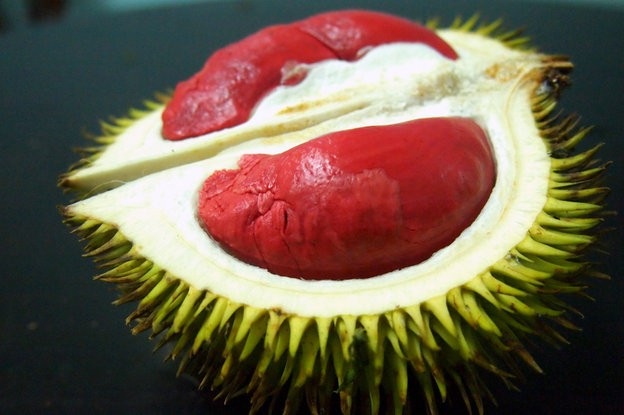 Chuối đỏ au, bưởi hồng rực: Hàng hiếm cúng Tết cầu may mắn - 7 Sầu riêng có ruột màu đỏ hết sức độc đáo.