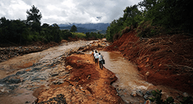 Earth Day 2020 panel discussion: Health, humanity, and the climate emergency