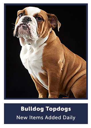 Shop Bulldog Topdogs