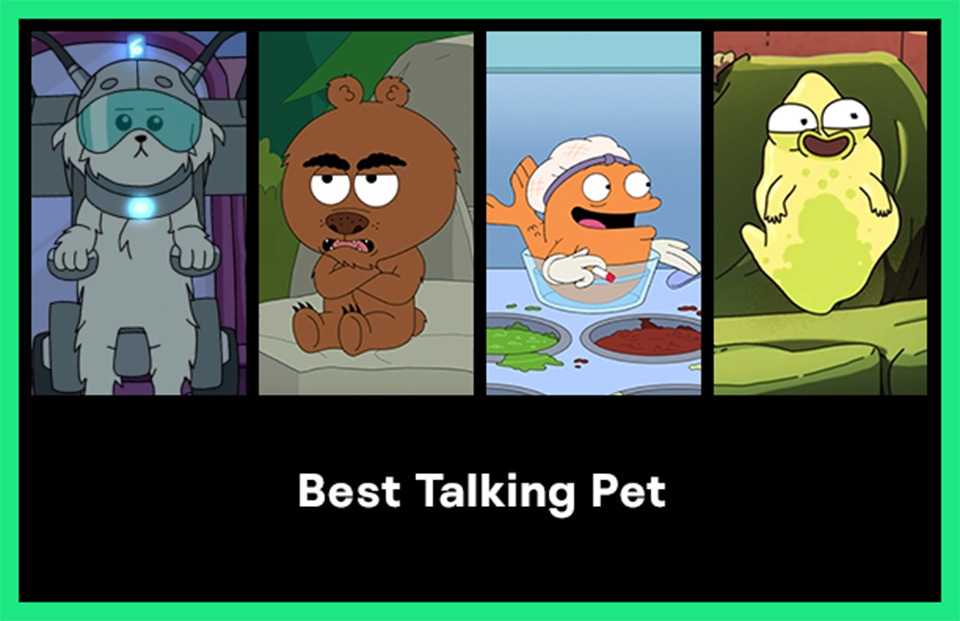 Best Talking Pet