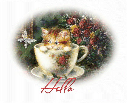 HELLO-kittycup-julea