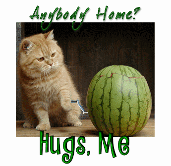 hugsme-watermelonkitty-julea