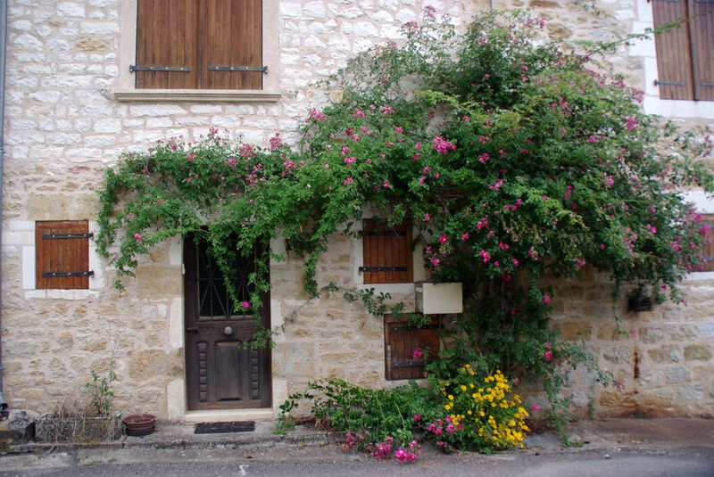 9190885997_78dea2f730_b.jpg 9190885997_78dea2f730_b.jpg