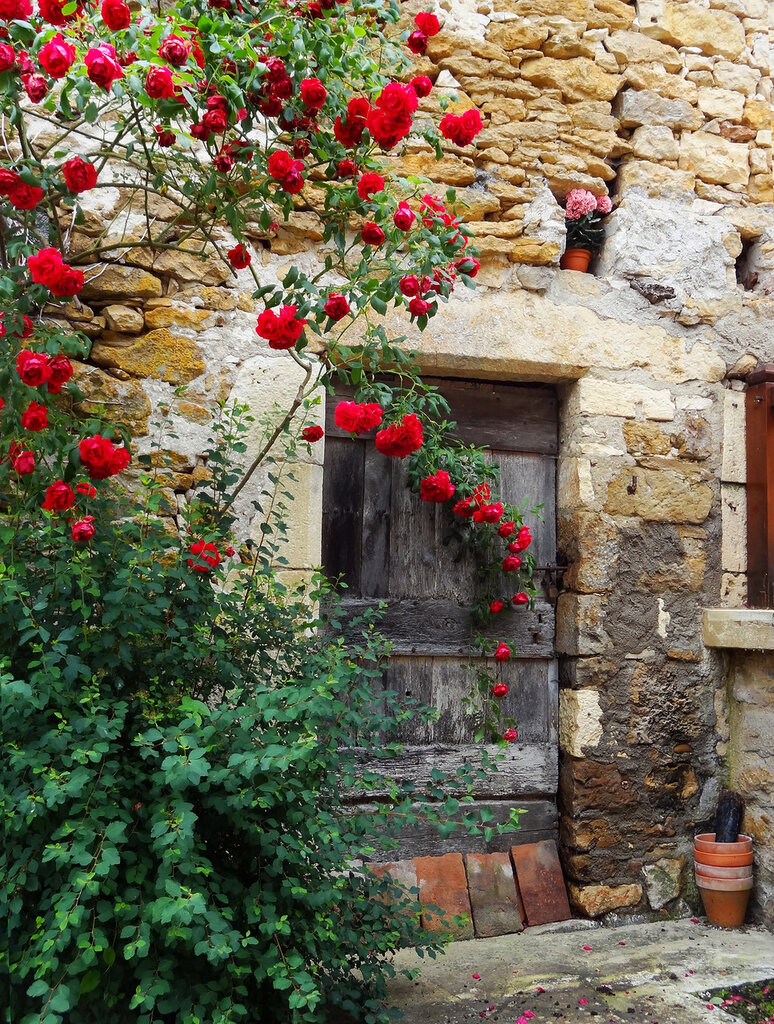 14284730278_955ea2d78a_h.jpg 14284730278_955ea2d78a_h.jpg