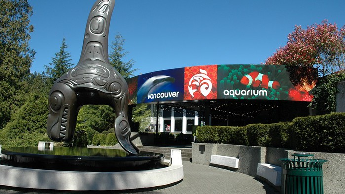 Vancouver-Aquarium-22003 (700x393, 97Kb)