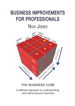 Business Improvements for Professionals: The Business Cube