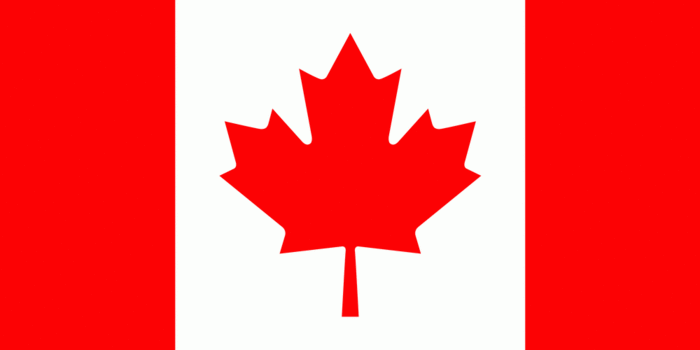 ca (1) (700x350, 7Kb)