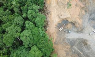 URGENCE AMAZONIE : Stop à la déforestation ! Sauvons notre planète !