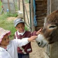Pour une nouvelle matière à l'école dès le plus jeune âge : l'empathie envers l'ensemble des animaux !