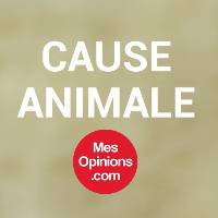 Rejoignez notre groupe Facebook réservé à la cause animale