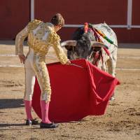 Pour l'interdiction des enfants lors des corridas
