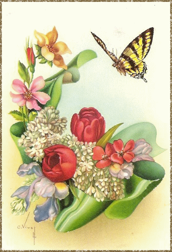 butterflies and various insects
