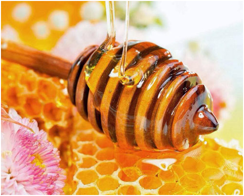 Mật o­ng có tác dụng tăng đề kháng cho cơ thể, phòng nhiễm trùng