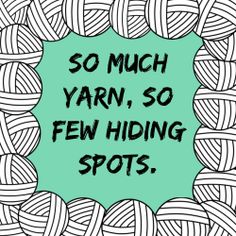 So much yarn, so few hiding spots.