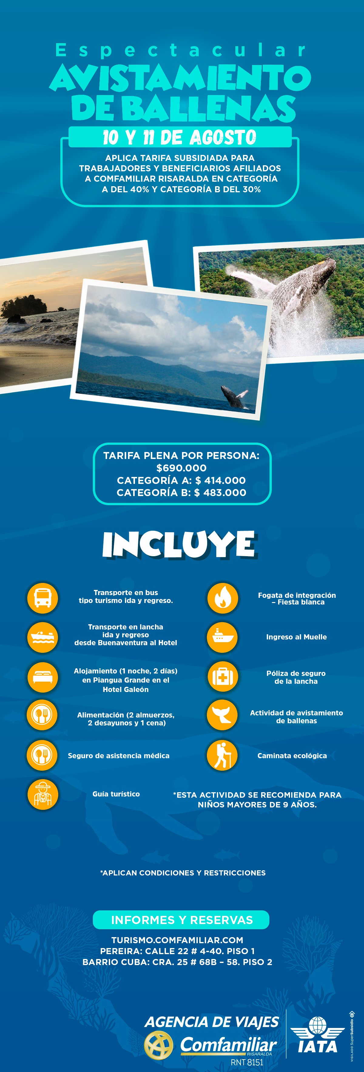 COMFAMILIAR-ADV-AVISTAMIENTOS-DE-BALLENAS-MAILING-1-