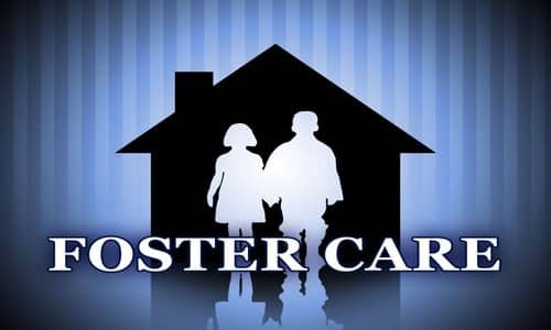 foster